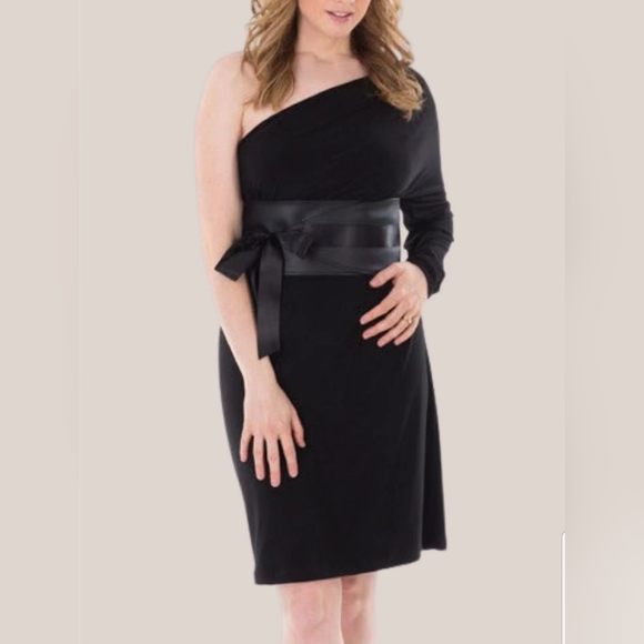 Lisa Drader Murphy 6 Way Dress - Picture 11 of 14